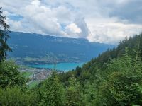 Fahrt von der Schynigen Platte nach Wilderswil... (Brienzer See)
