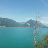 Blick auf den Thunersee