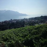 Blick auf den Genfer See