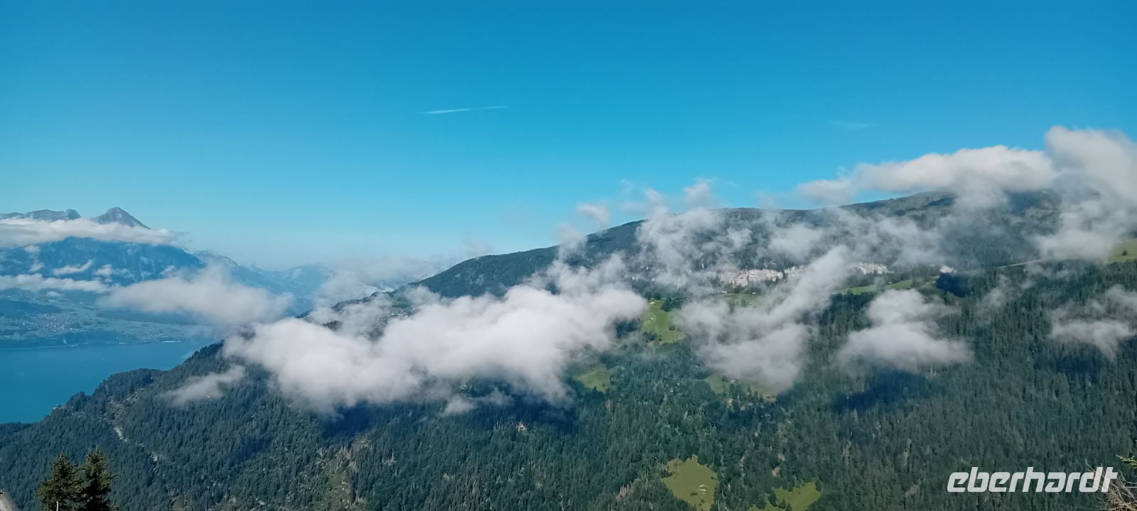 Harder Kulm - Thuner See