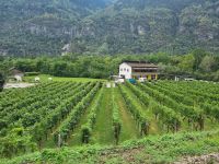 Fahrt mit dem Gotthard Panorama Express von Flüelen nach Bellinzona... (Biaschina)