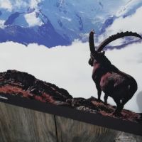 Ihn haben wir leider nicht getroffen