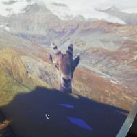 Wer schaut denn da so neugierig zu?