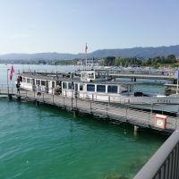 Blick über den Zürichsee