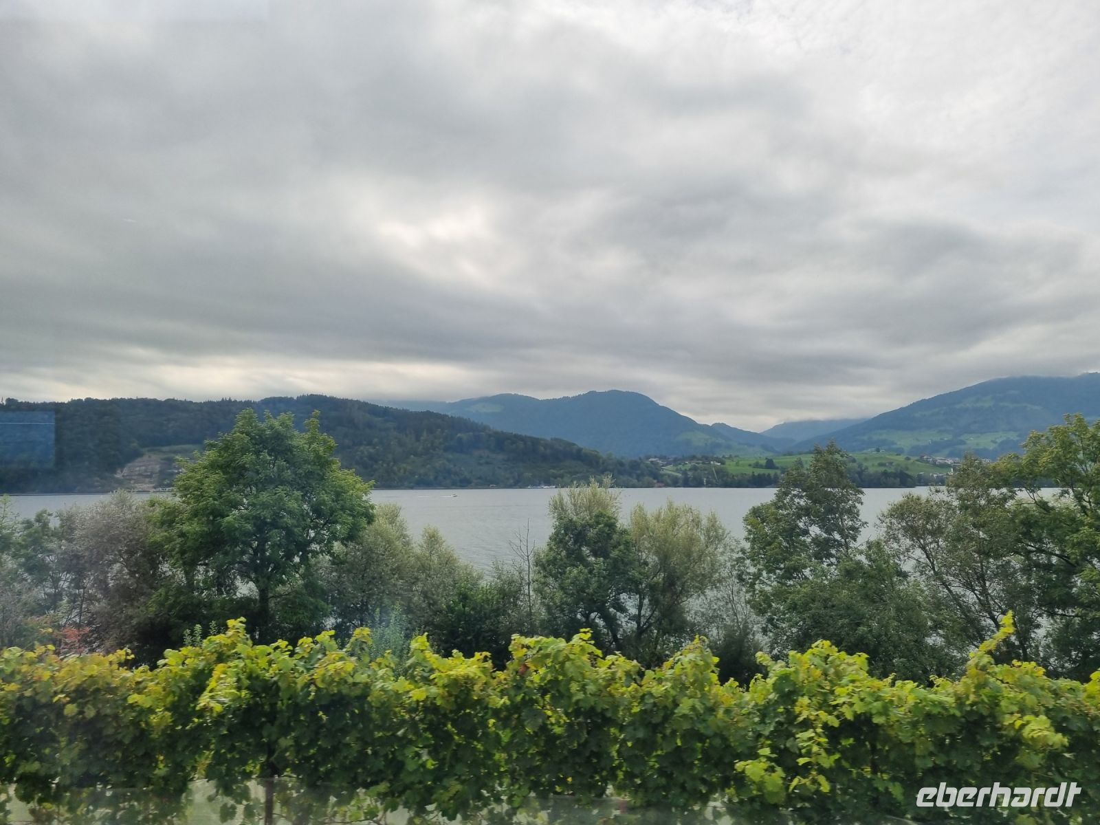 Fahrt mit dem Voralpen-Express von St. Gallen nach Luzern... (Oberer Zürichsee)