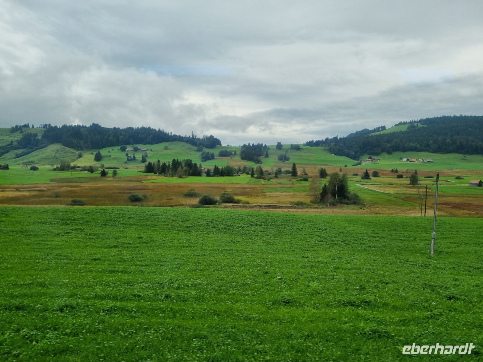 Fahrt mit dem Voralpen-Express von St. Gallen nach Luzern... (Hochmoor Rothenturm)