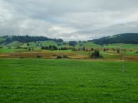 Fahrt mit dem Voralpen-Express von St. Gallen nach Luzern... (Hochmoor Rothenturm)