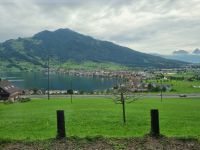 Fahrt mit dem Voralpen-Express von St. Gallen nach Luzern... (Zugersee)