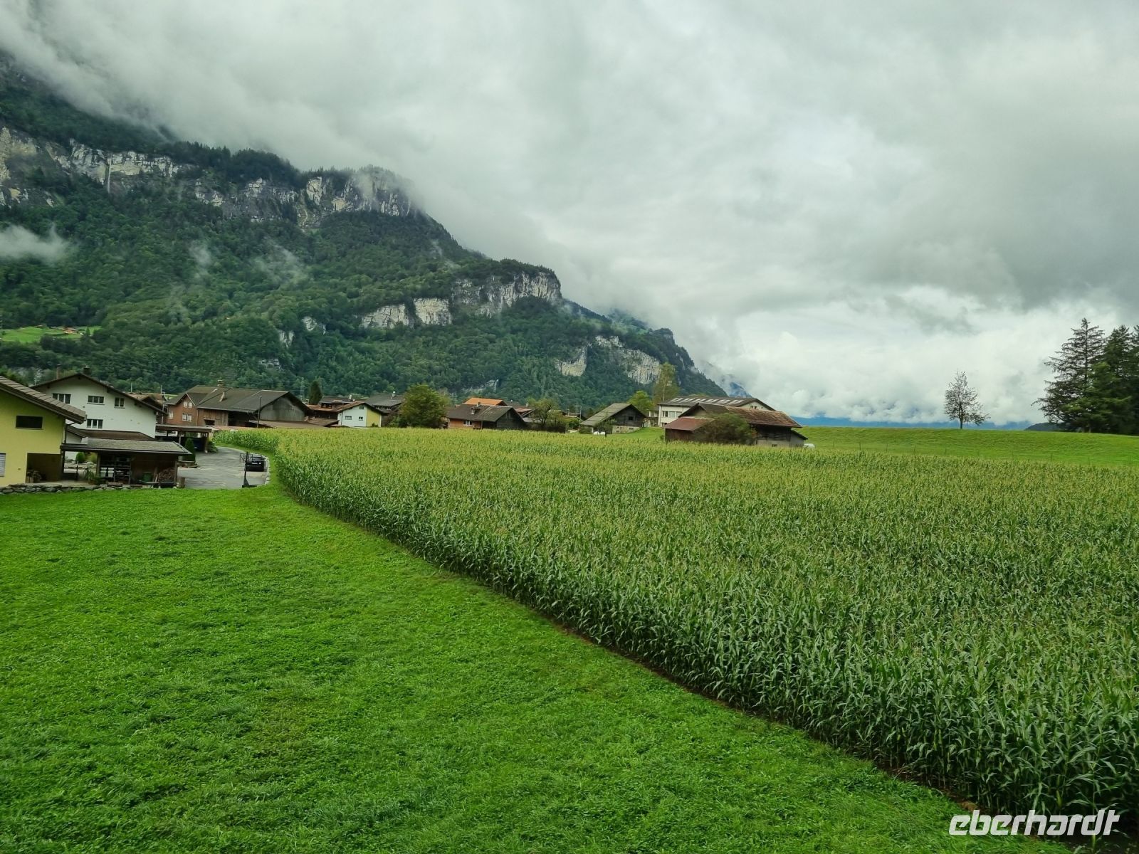 Fahrt mit dem Luzern–Interlaken Express... (Meiringen)
