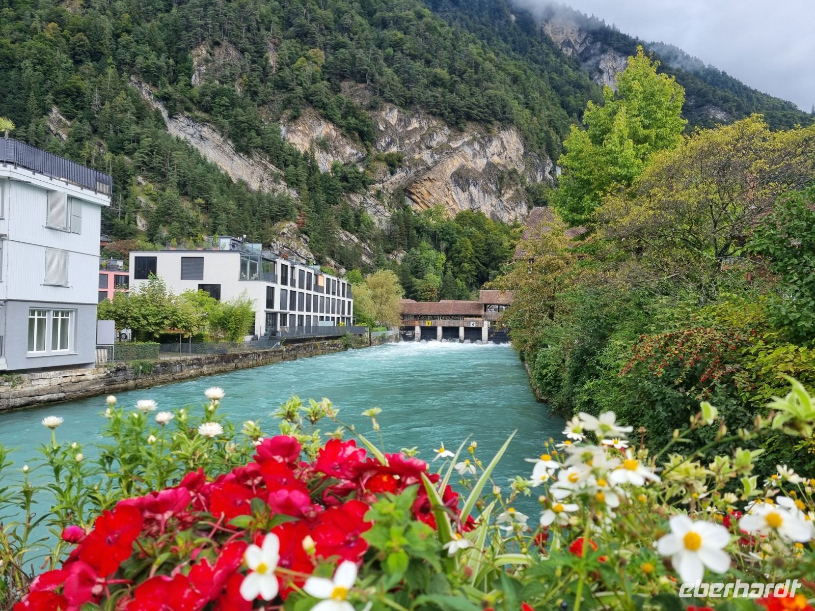 Interlaken (Aare - Grosse Staatsschleuse Unterseen)