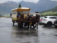 Pontresina, Pferdeomnibus