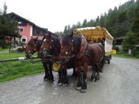 Pontresina, Hotel Roseg mit Pferdeomnibus