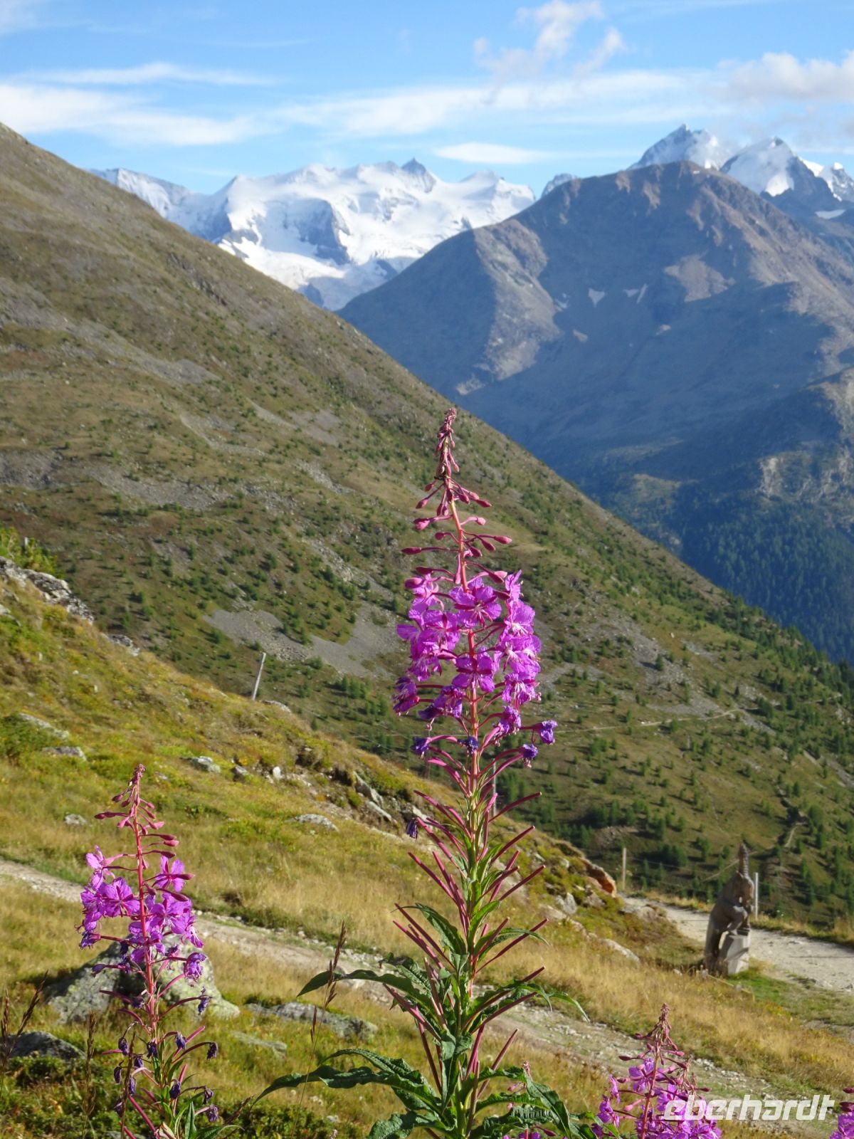 Idylle mit Berninagruppe...