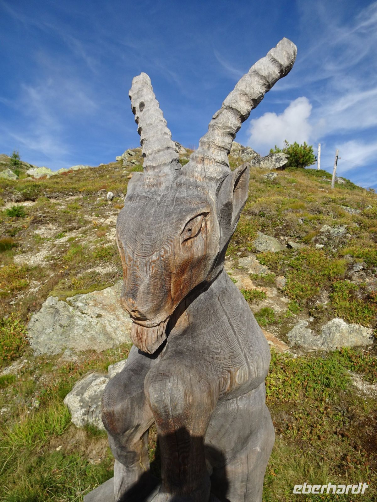 Der Steinbock grüßt...