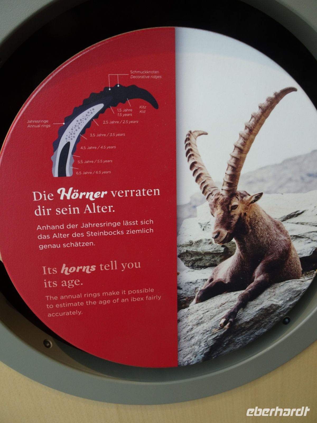 ...interessanten Details...