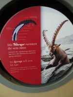 ...interessanten Details...