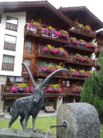 Zermatt - Steinbockbrunnen