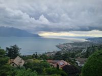 Fahrt mit dem GoldenPass Express... (Genfersee)