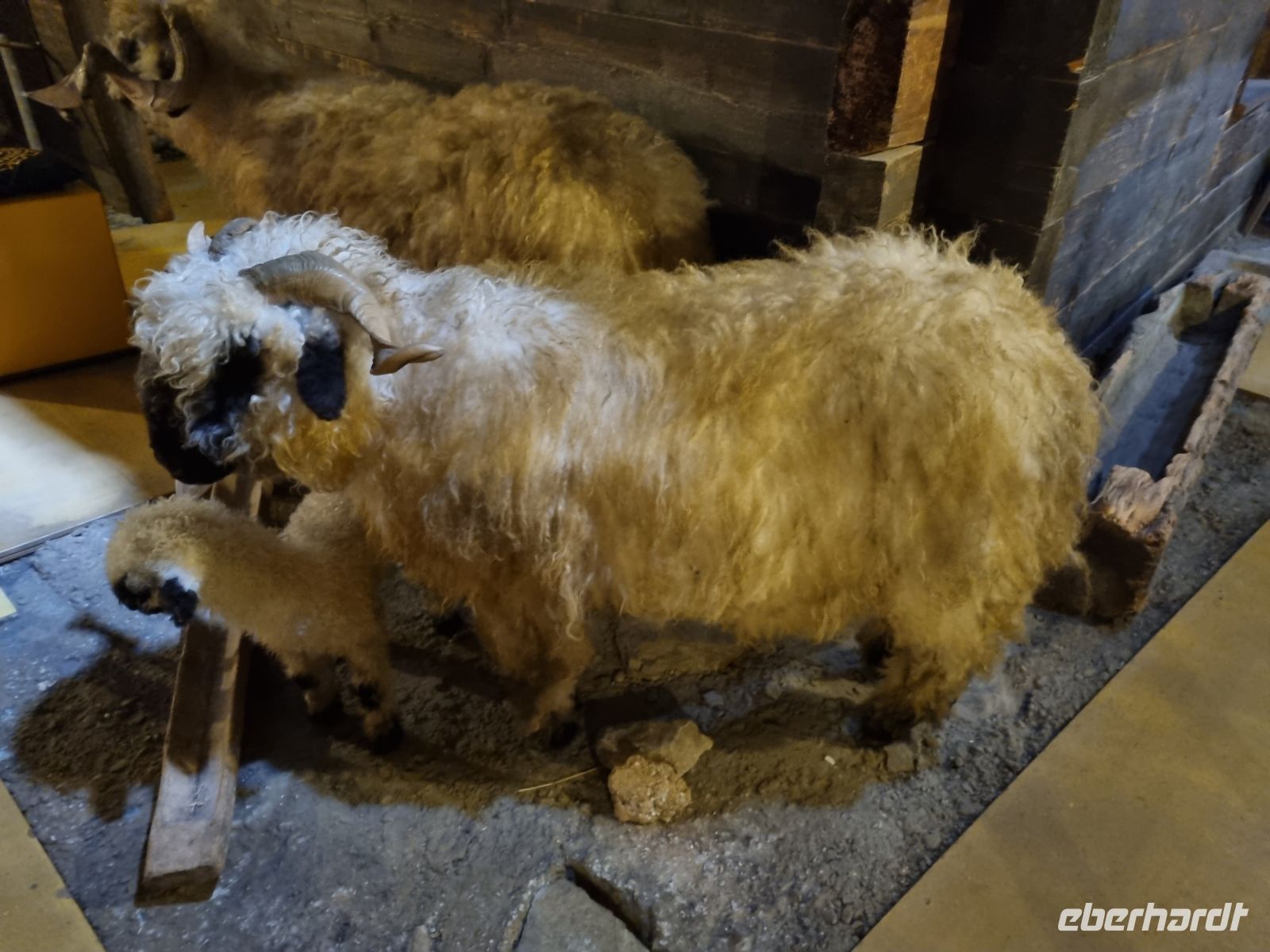 Zermatt - Matterhorn Museum 