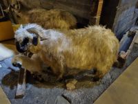 Zermatt - Matterhorn Museum 