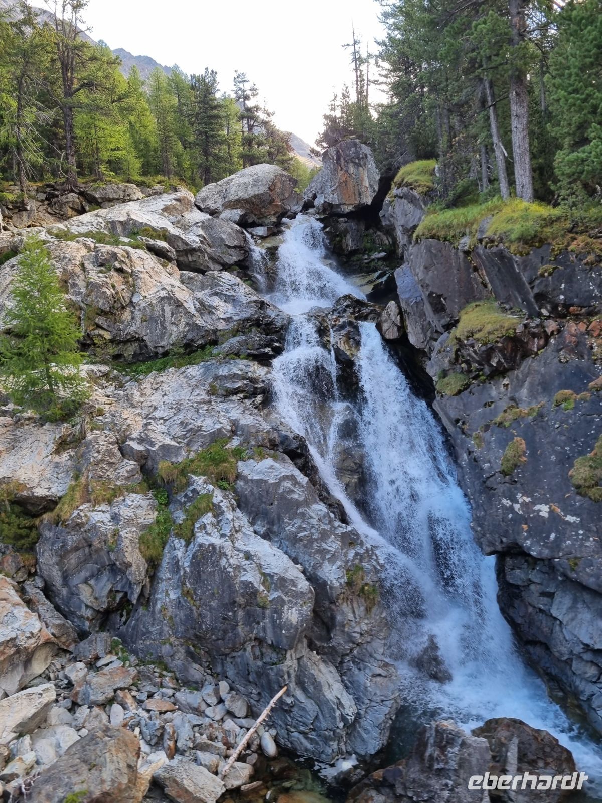 Fahrt mit dem Bernina-Express...