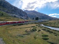 Fahrt mit dem Bernina-Express...