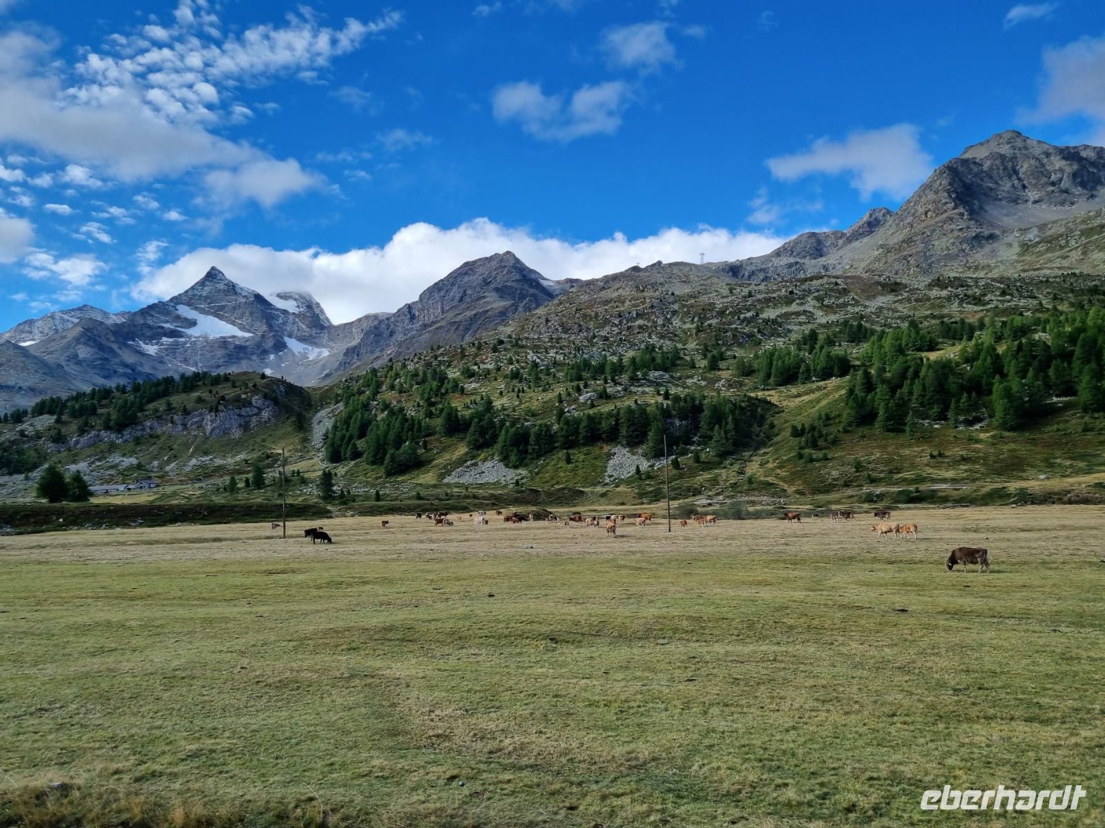 Fahrt mit dem Bernina-Express...