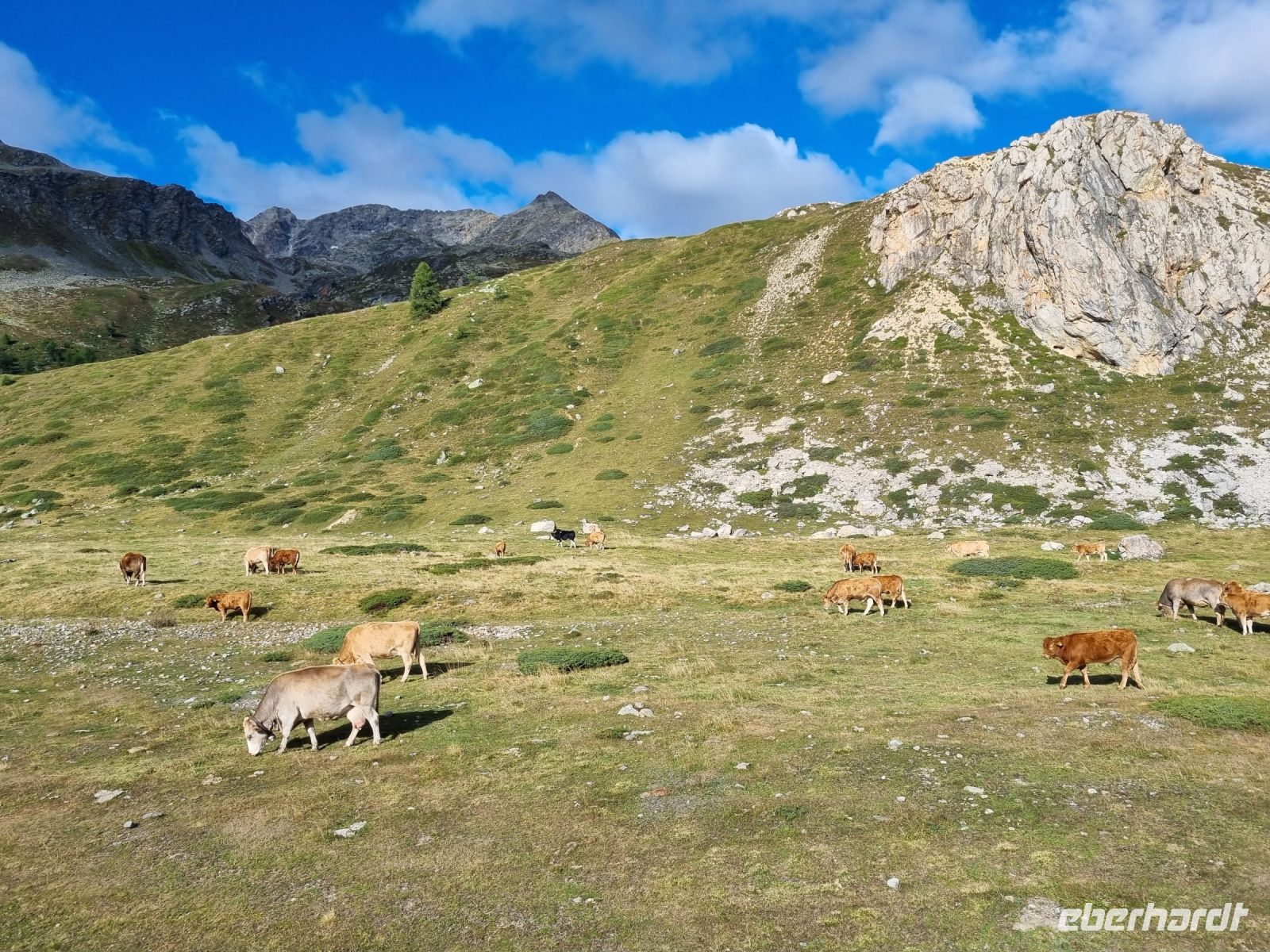 Fahrt mit dem Bernina-Express...