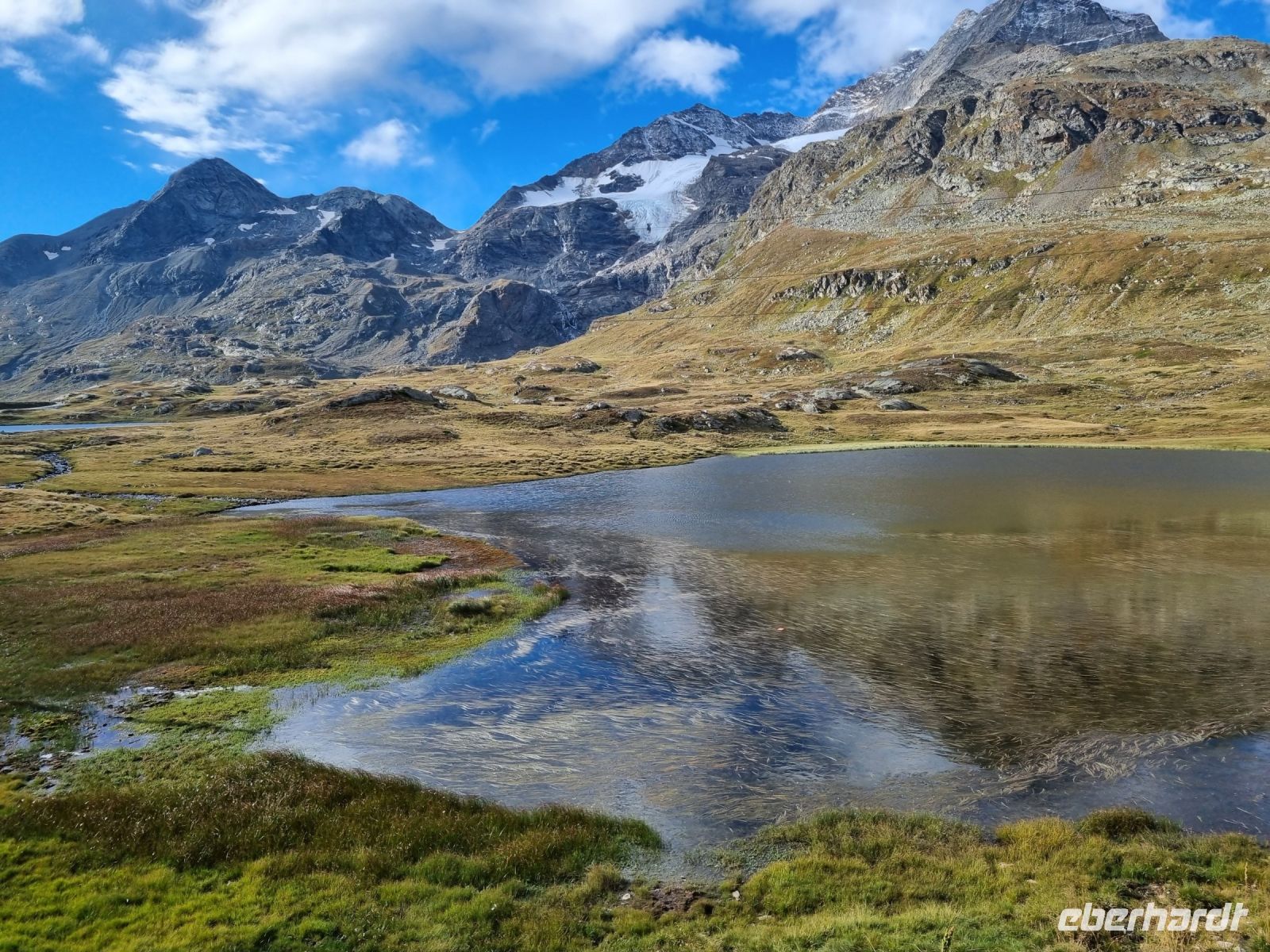 Fahrt mit dem Bernina-Express...