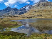 Fahrt mit dem Bernina-Express...