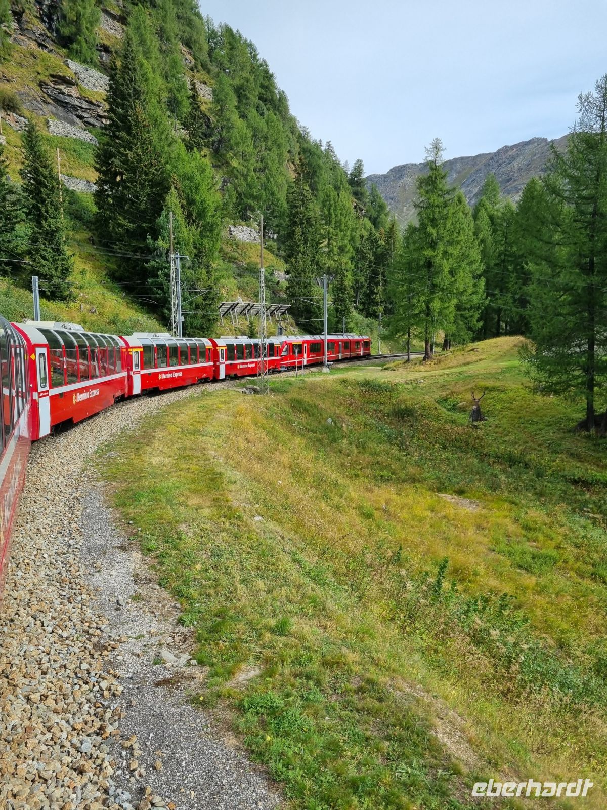 Fahrt mit dem Bernina-Express...