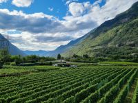 Fahrt mit dem Gotthard Panorama Express von Flüelen nach Bellinzona... (Ticino-Tal)