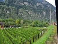 Fahrt mit dem Gotthard Panorama Express von Flüelen nach Bellinzona... (Ticino-Tal)