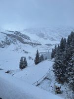 017 Engelberg - Fahrt auf den Titlis - Winterwunderland Trübsee im September