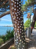 092 Montreux Uferpromenade - Kunstobjekt Bäume sind mit Häkelarbeiten geschmückt