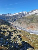 170 Auf dem Bettmerhorn - Aletschgletscher