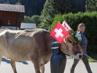 203 Fieschertal - Alpabzug