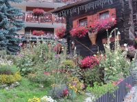 244 Zermatt - Altzermatt