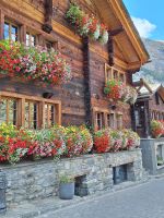 248 Zermatt - Altzermatt