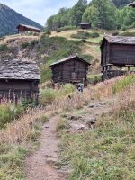 370 Zermatt - Talfahrt von Trockener Steg nach Furi