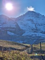 416 Ausflug auf das Jungfraujoch - Kleine Scheidegg  - Blick zum Eigergletscher