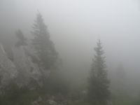 Auffahrt im Nebel...