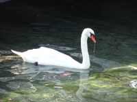 ... mit Namensgeber...