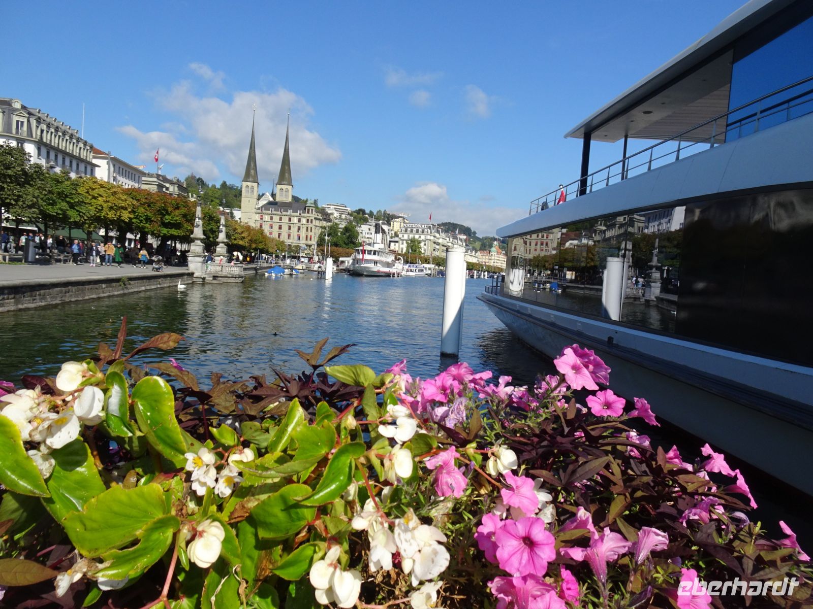 ... Blumenpracht am Anleger...