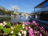 ... Blumenpracht am Anleger...