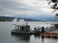 Zürichsee im Regen