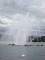 Fontäne auf Zürichsee