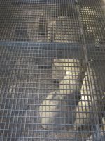 Zürich: römische Thermen