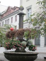 St. Gallen: Brunnen