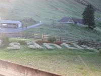 Bepflanzung an der Talstation